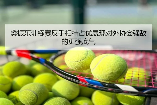 樊振东训练赛反手相持占优展现对外协会强敌的更强底气