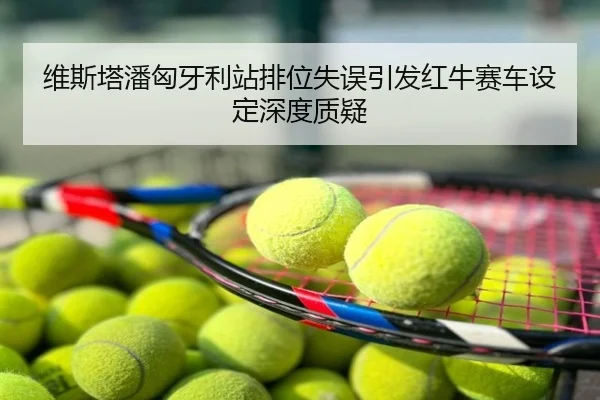 维斯塔潘匈牙利站排位失误引发红牛赛车设定深度质疑