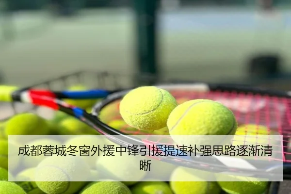 成都蓉城冬窗外援中锋引援提速补强思路逐渐清晰