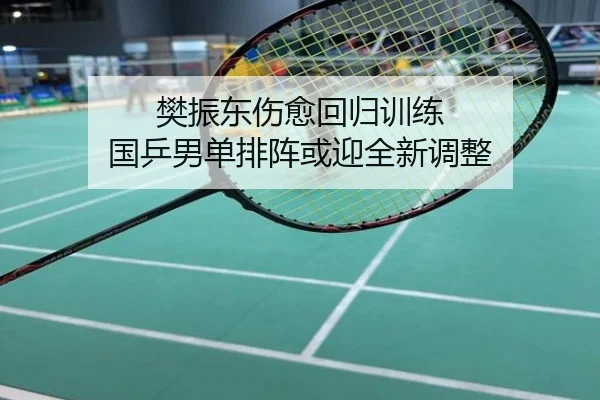 樊振东伤愈回归训练 国乒男单排阵或迎全新调整