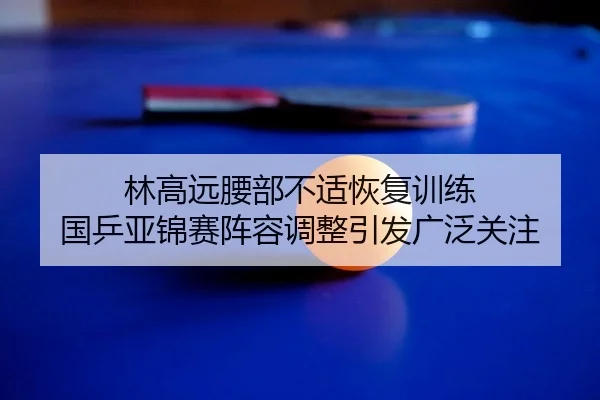 林高远腰部不适恢复训练 国乒亚锦赛阵容调整引发广泛关注